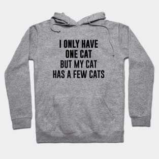 I only have one cat but my cat has a few cats Hoodie